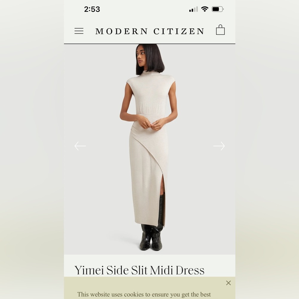 Never worn mock turtle neck modern citizen dress, size medium